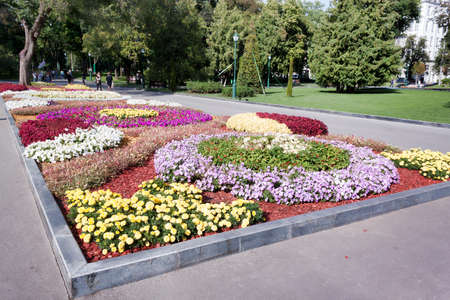 KHARKIV, UKRAINE - AUGUST 6, 2019: A flower bed with flowers in Shevchenko park in Kharkov. There...