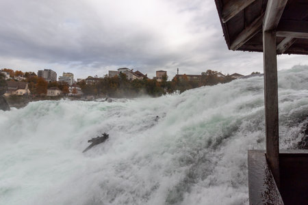 Rhine Falls up close. The largest waterfall in Europe, located on the border of Switzerland and Germany, near Schaffhausenの写真素材