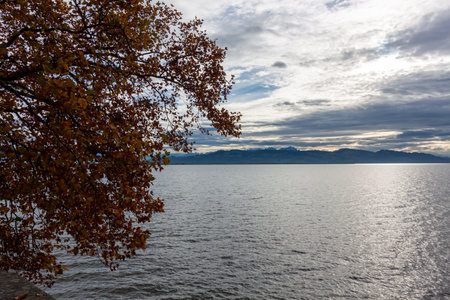 Autumnal view of Lake Constance (Bodensee) in Lindau, Germany, showing a weathered stone wall,...