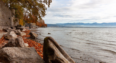 Atmospheric autumn view of the rocky shoreline of Lake Constance (Bodensee) in Lindau, Germany, with fallen leaves, a distant figure, and mountains under a dramatic skyの写真素材