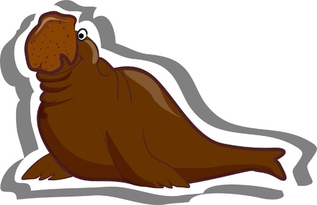 Cartoon walrus のイラスト素材