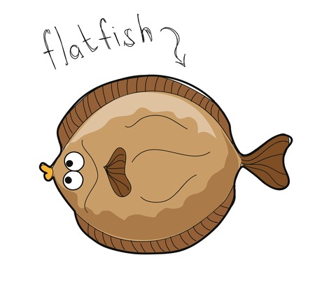 Cartoon flatfishのイラスト素材