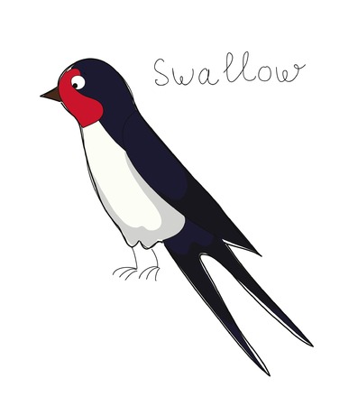 Cartoon swallowのイラスト素材