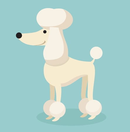 Vector illustration of cute and funny cartoon poodle puppy in a flat styleのイラスト素材