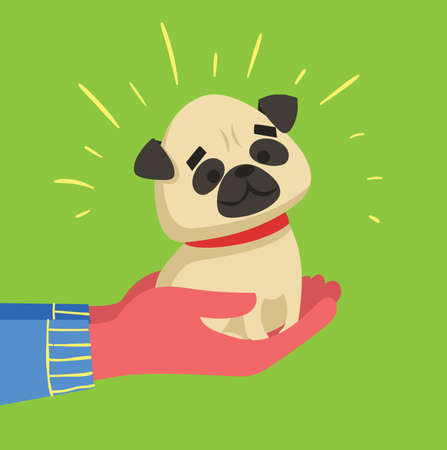 Vector illustration of the pug puppy sitting in the handsのイラスト素材
