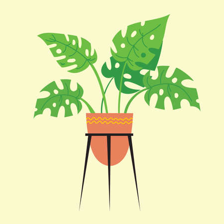 Monstera in a flower pot isolated. Tropical plant for interior decor of home or office. Vector illustrationのイラスト素材