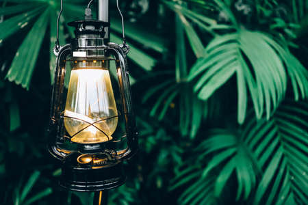 Vintage gasoline oil lantern lamp with a soft glow light in the evergreen forest. Light in the darkness.の写真素材