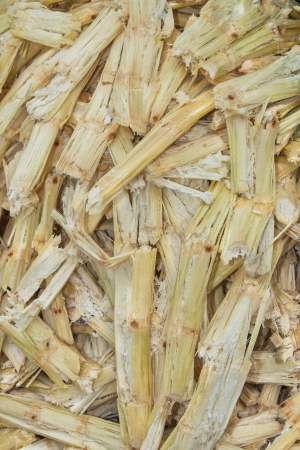 Sugarcane bagasse の写真素材