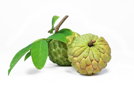 Custard apple fruit with leaves on white backgroundの写真素材