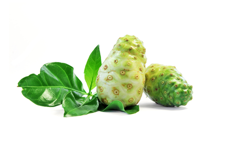 Noni fruit and Noni leaf.の写真素材