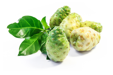 Noni fruit and Noni leaf.の写真素材