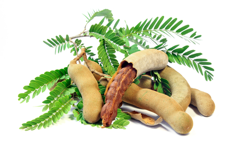 Close up of  fresh Tamarind, Fruit and Food ingredient.の写真素材