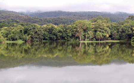 Mountain in Rainy season forest landscape. Lake with forest reflection wave and The mountain is covered with fog, Chiang Mai, Thailand.の写真素材