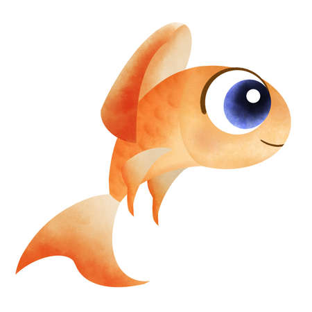 cute goldfish isolated on white backgroundの写真素材