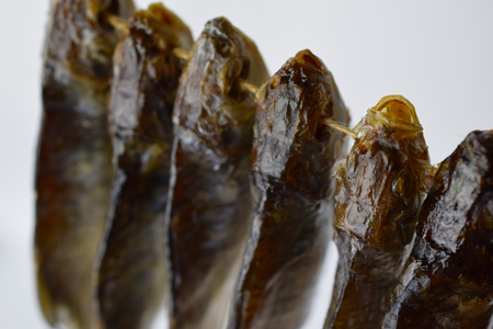 Dry Roach Fish on the Line.