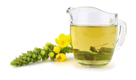 Isolated Verbascum Thapsus Tincture Extract. Also Great, Common, Woolly, Velvet or Blanket Mullein....