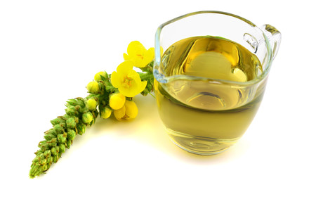 Isolated Verbascum Thapsus Tincture Extract. Also Great, Common, Woolly, Velvet or Blanket Mullein....