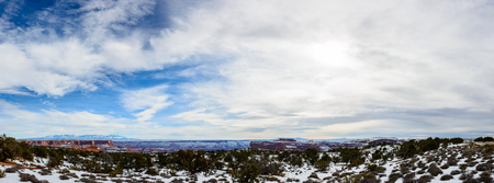 Desert in Arizona with rare desert plants covered with clean white snow.  Canyon is seen on the backgroundの写真素材