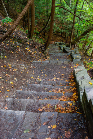 Stone stair in forest in Buttermilk Falls State Park, Ithaca, NY, USAの写真素材