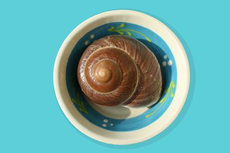 A brown snailshell on a decorated dinnerplateの写真素材