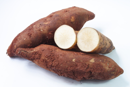 Fresh yacon roots on white backgroundの写真素材