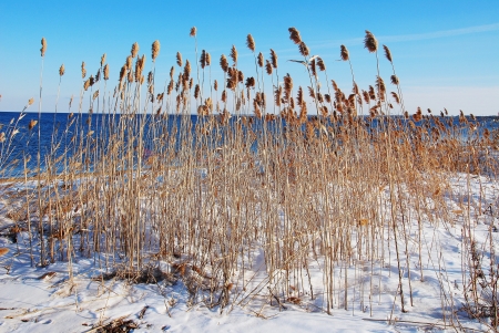 winter landscapeの写真素材