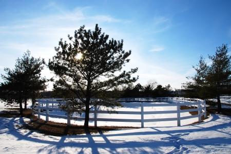 Beautiful winter sunset with trees in the snowの写真素材