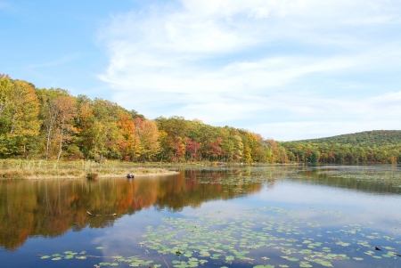 Autumn in Lakeの写真素材