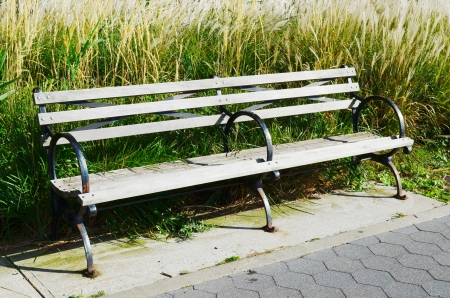 bench in the parkの写真素材
