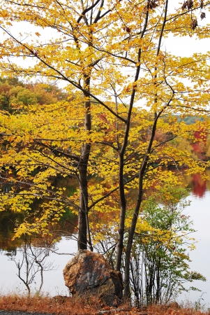 Autumn lakeの写真素材
