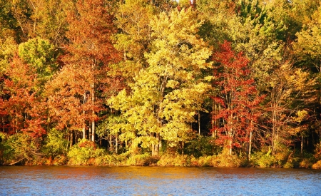 Autumn in lakeの写真素材