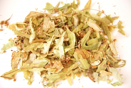 Close up dried linden on white backgroundの写真素材