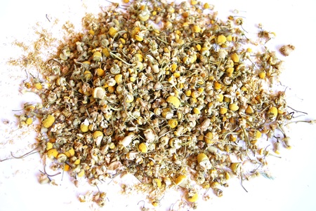 Close up dried Chamomile of white backgroundの写真素材