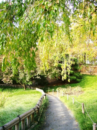 parkの写真素材