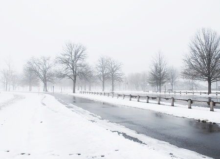 winter in the parkの写真素材