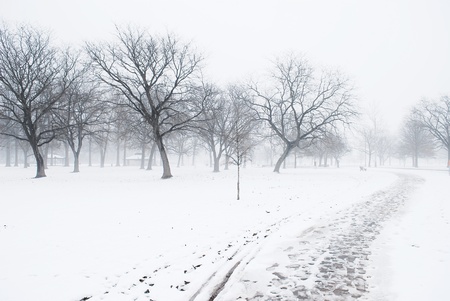 winter in the parkの写真素材