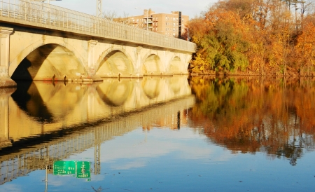 Bridgeのeditorial素材