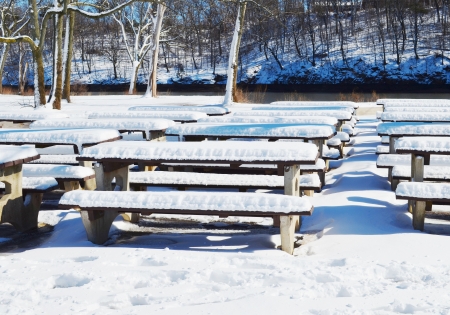 benchの写真素材