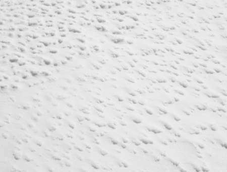 Snow textureの写真素材