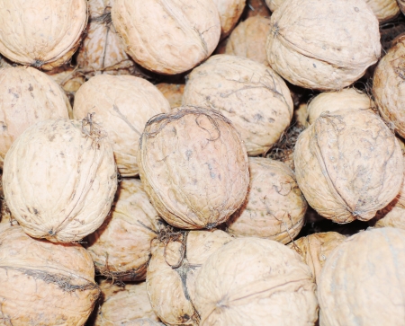 walnutの写真素材