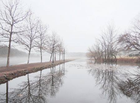 Misty lake in morning
