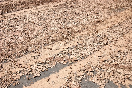 Dry soil texture on the ground