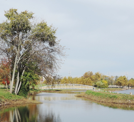 autumn in river with dark skyの写真素材