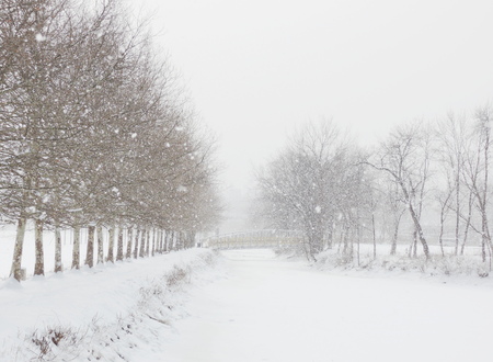 winter in the riverの写真素材