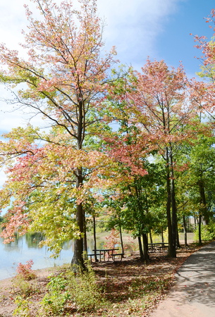 Autumn parkの写真素材