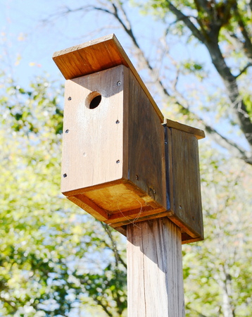 Bird houseの写真素材