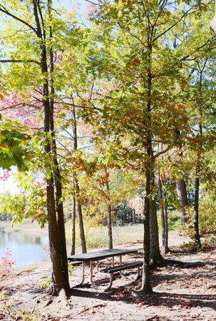 Autumn parkの写真素材