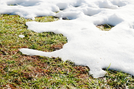 Melting snowの写真素材