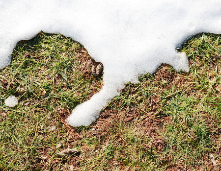 Melting snowの写真素材