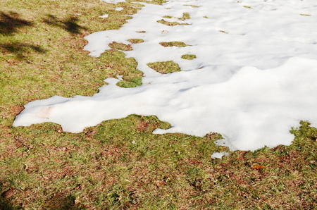 Melting snowの写真素材